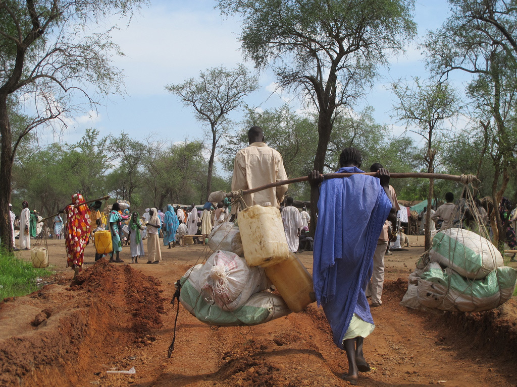 report will nothing violations property inheritance rights widows zimbabwe report will nothing violations property inheritance rights widows zimbabwe