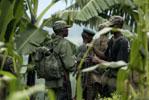 Congo fighters - AP