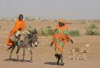 Darfuri women search for firewood