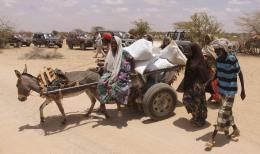 Family transporting aid on a donkey cart in southern Somalia - AP