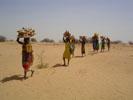 Sudanese women carry firewood