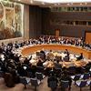 United Nations Security Council