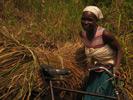 Ugandan woman on bicycle