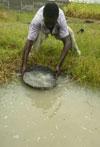 contaminated water