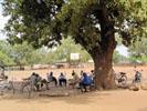 Meeting under a tree, S. Sudan - M.Fick