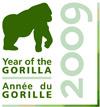 Year of the Gorilla
