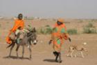 Darfuri women search for firewood