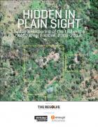 Hidden in Plain Sight cover