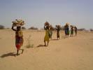 Women collect firewood