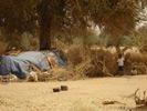 IDP camp
