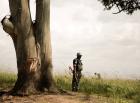 UN Peacekeeper in Congo