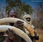 African Parks / Babi Prokas